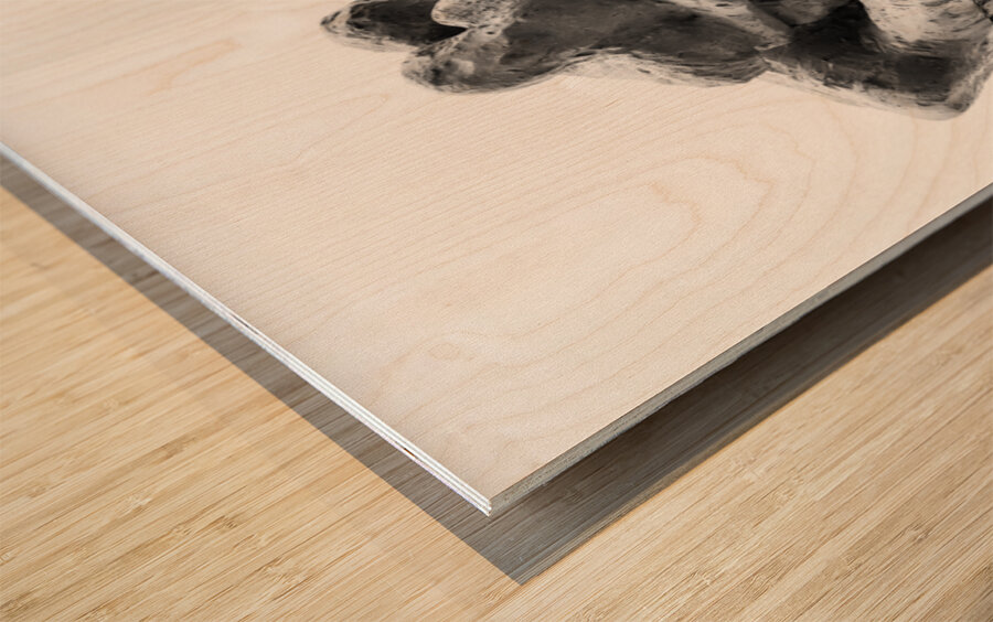 PSX 20250729 155901 Wood print