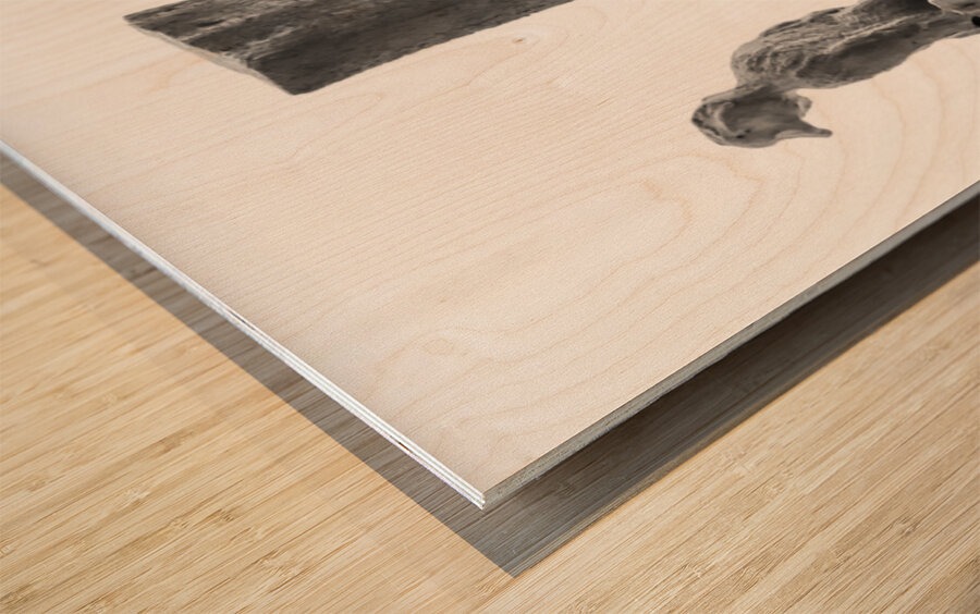 PSX 20250802 175952 Wood print