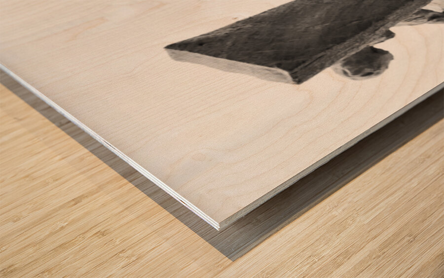 PSX 20250802 180509 Wood print