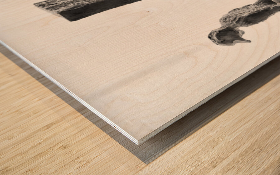 PSX 20250802 182135 Wood print