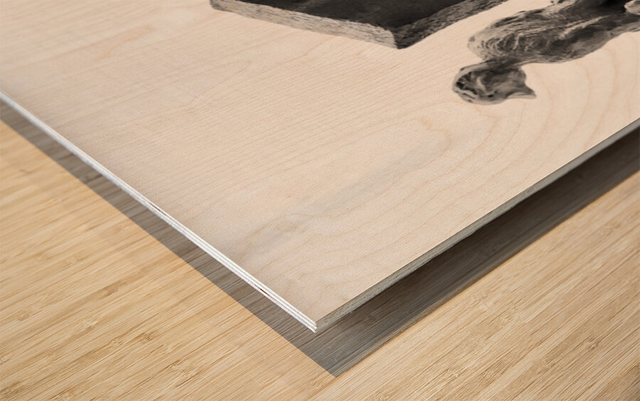 PSX 20250802 181037 Wood print