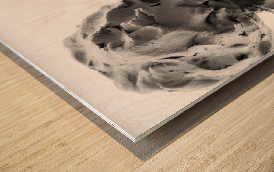 Beloved Companion 1 --- PSX 20250808 175342 Wood print