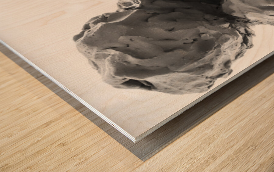 Beloved Companion 1 --- PSX 20250808 180623 Wood print