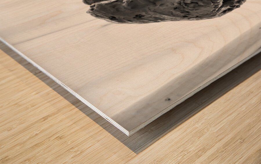 PSX 20250825 121230 Wood print