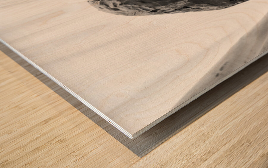 PSX 20250825 120315 Wood print