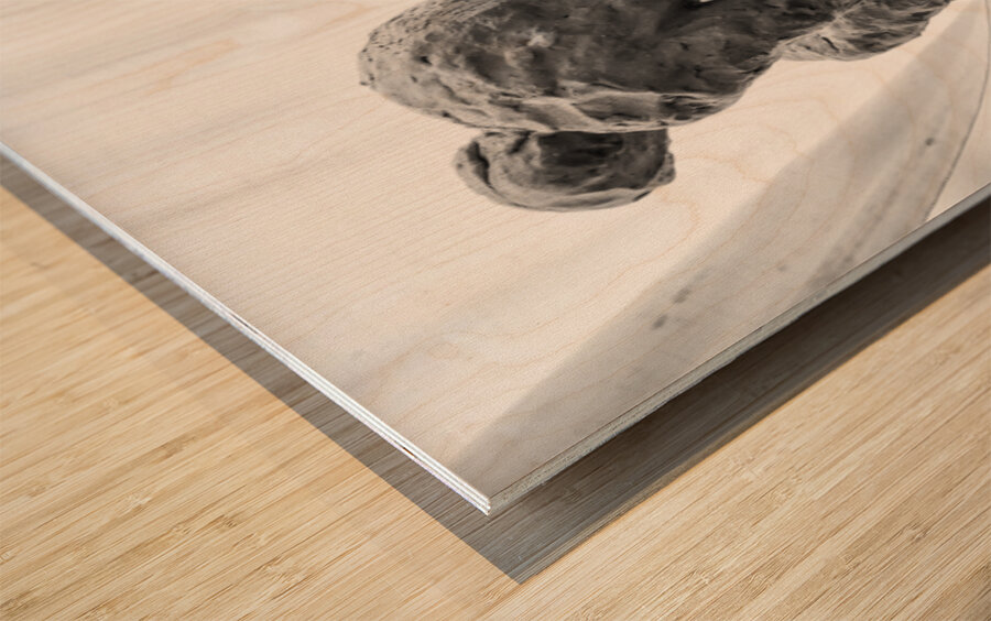 PSX 20250825 120040 Wood print