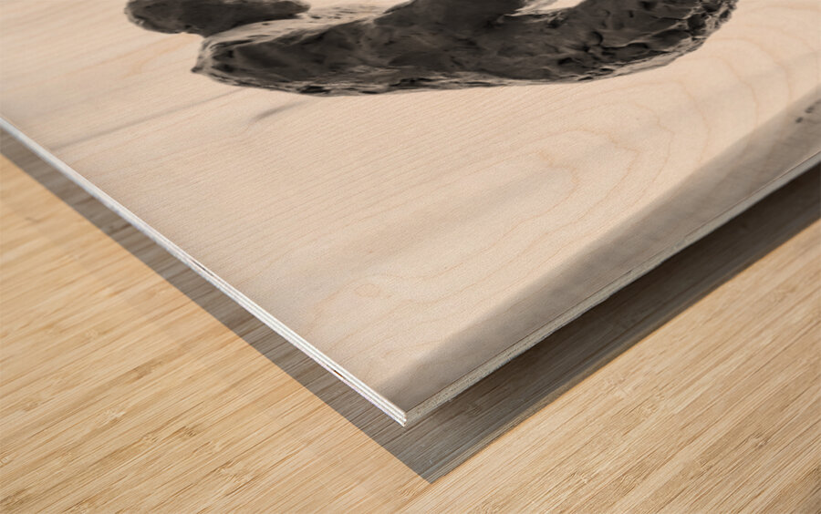 PSX 20250825 121403 Wood print