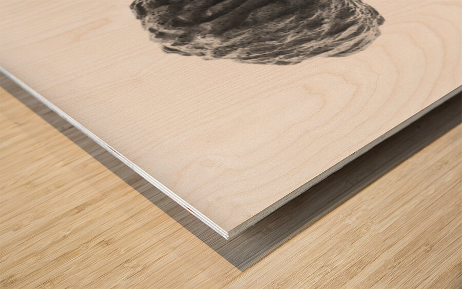 PSX 20250821 144939 Impression sur bois