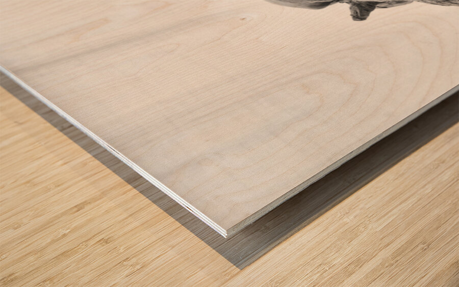 PSX 20250816 122209 Wood print