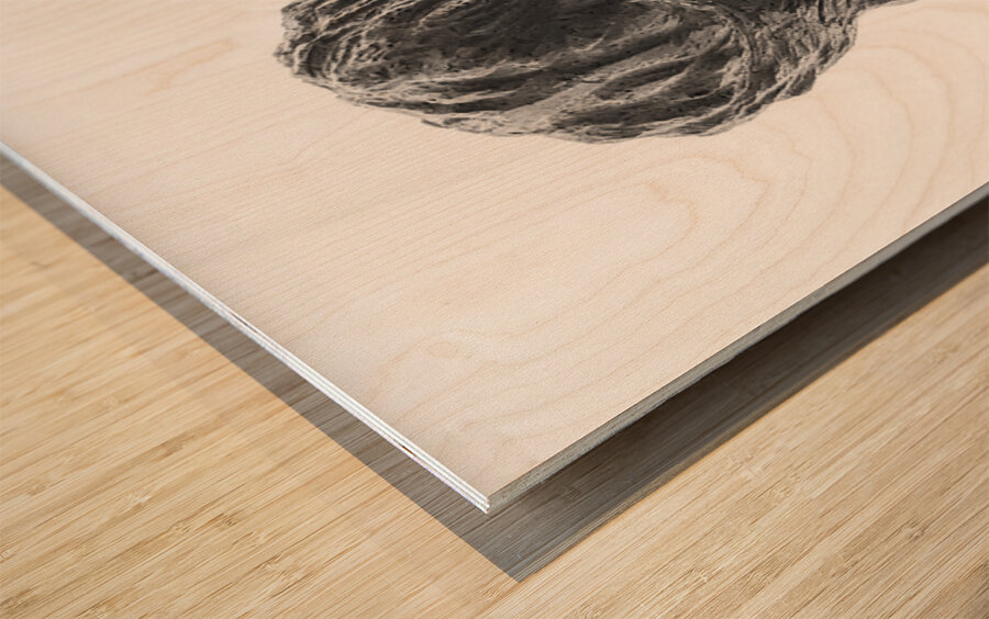 PSX 20250821 144301 Wood print