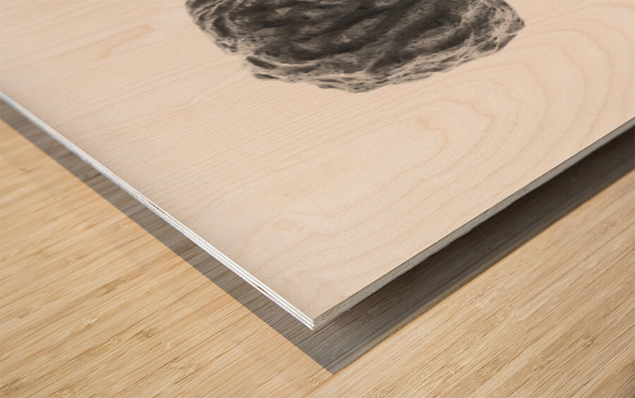 PSX 20250821 144840 Wood print