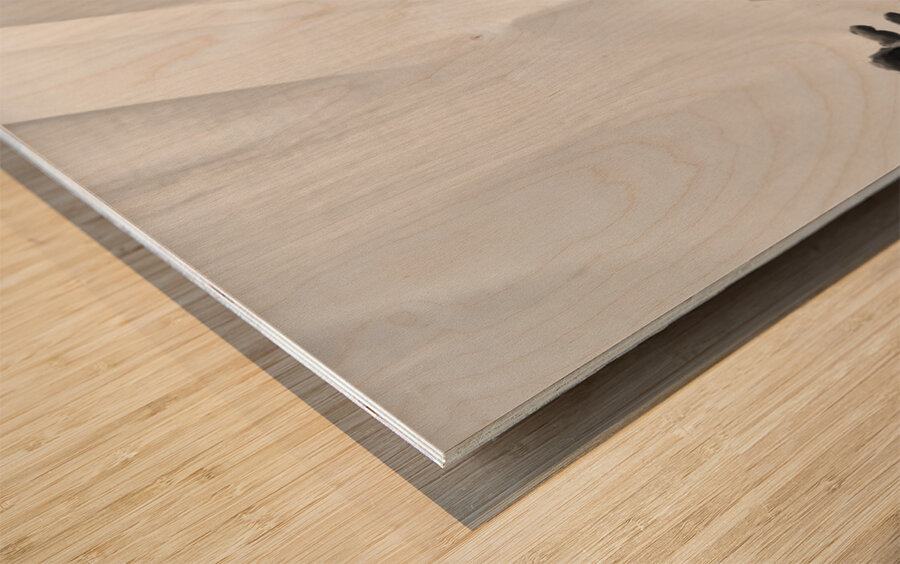 Dont Make Yourself Afraid --- 20250917 010935 2 Wood print