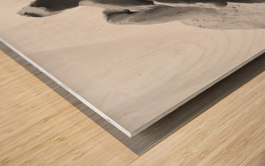 Fools Leap --- 20250915 232324 2 Wood print