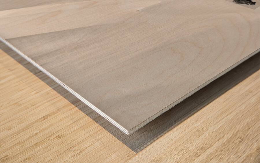 20250917 010926 2 Wood print