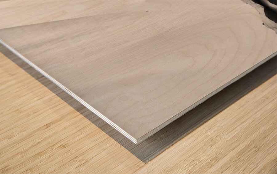 20250917 010724 2 Wood print