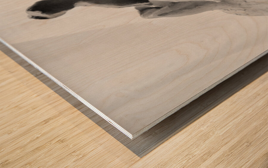 20250915 232218 2 Wood print