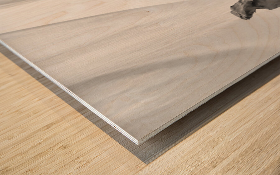 20250917 010606 2 Wood print