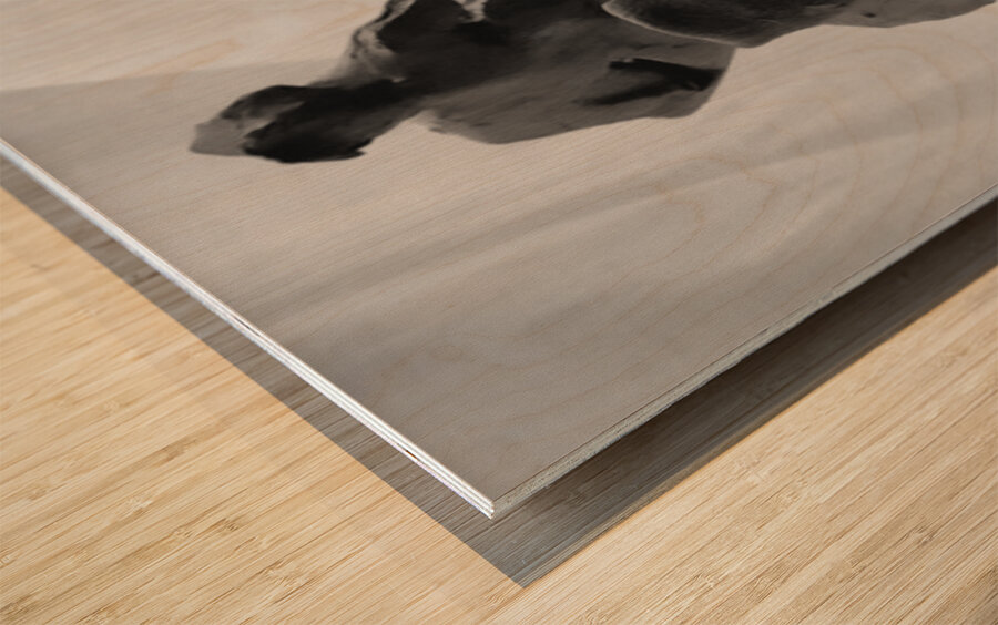 Fools Leap --- 20250915 232258 2 Wood print