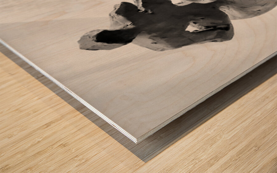 20250915 232353 2 Wood print