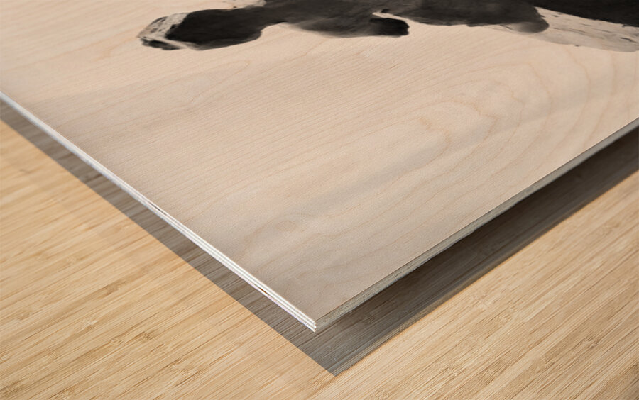 Fools Leap --- 20250915 232227 2 Wood print