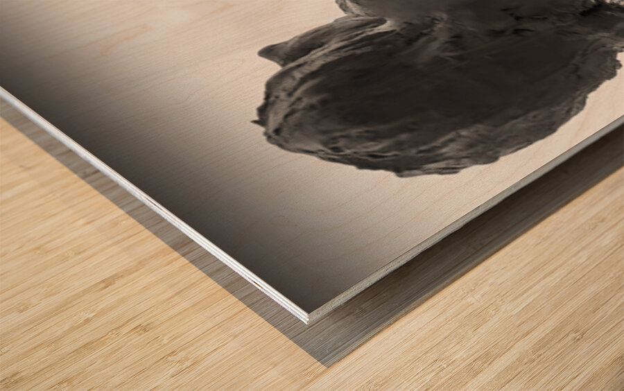 Alouette - 1 Wood print