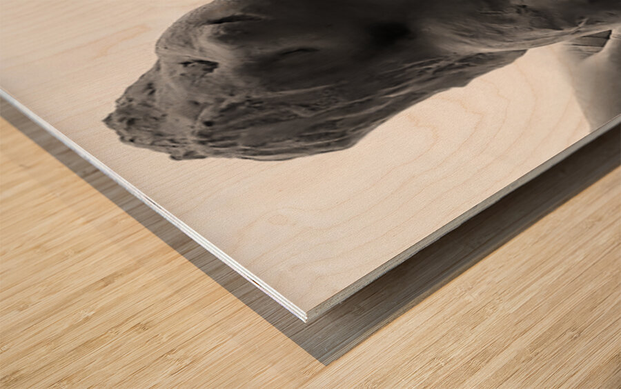 Alouette - 1 Wood print