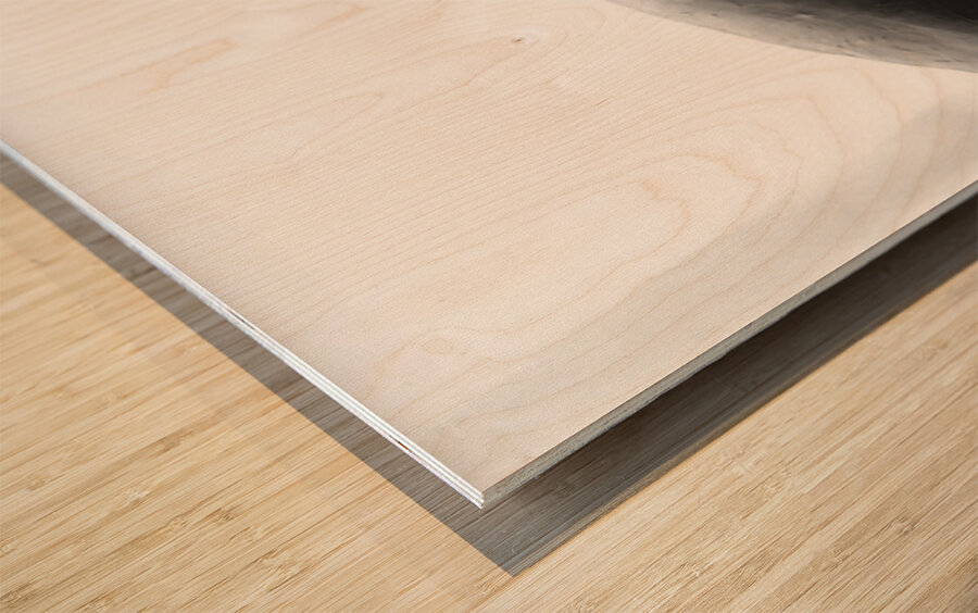 Beloved Companion 2 - 2 Wood print