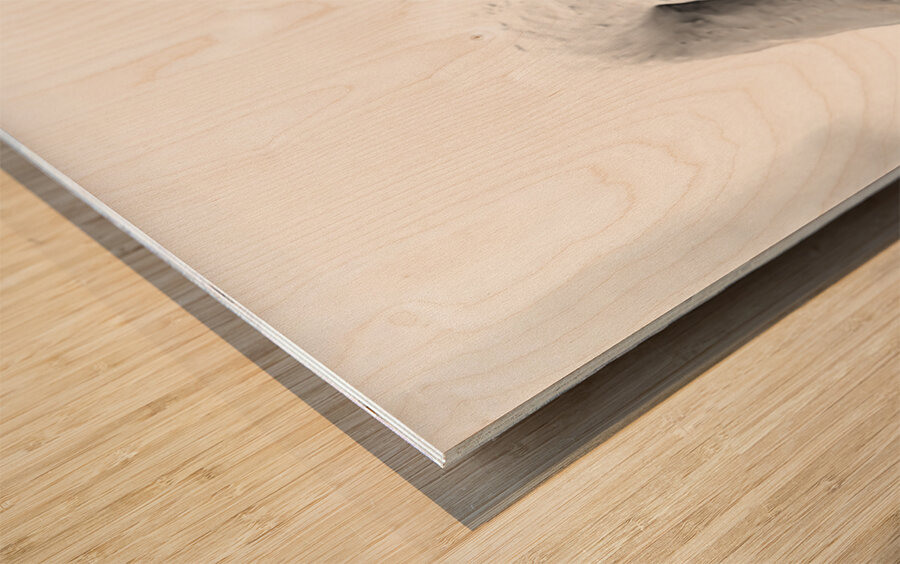 Beloved Companion 2 - 4 Wood print