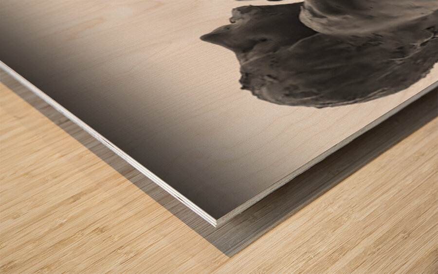 Alouette - 1 Wood print