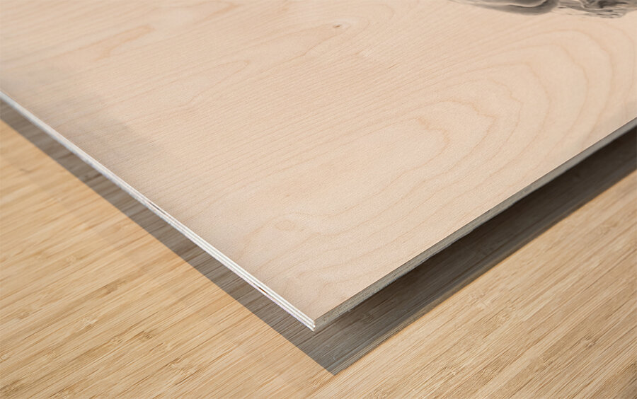 Beloved Companion 2 - 3 Wood print