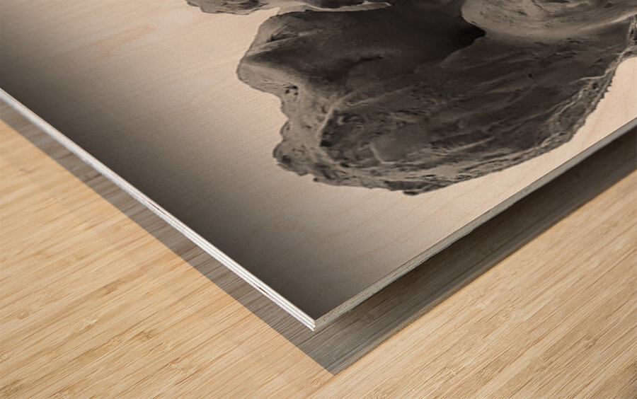 Alouette - 1 Wood print