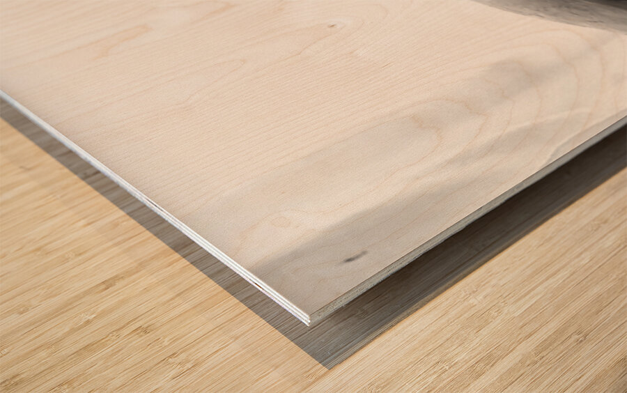 Beloved Companion 2 - 1 Wood print