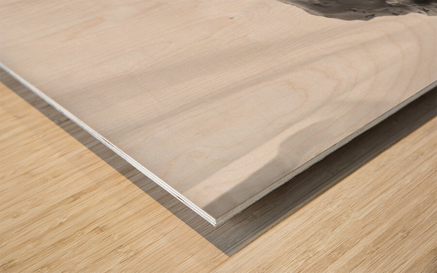 Quiet Mood --- 20251029 074946 2 Wood print