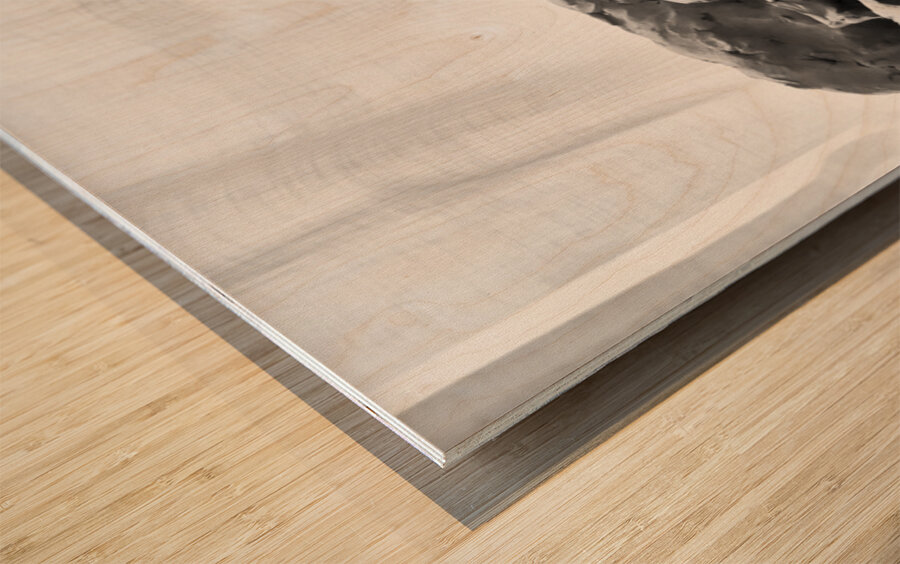 Quiet Mood --- 20251029 075144 2 Wood print