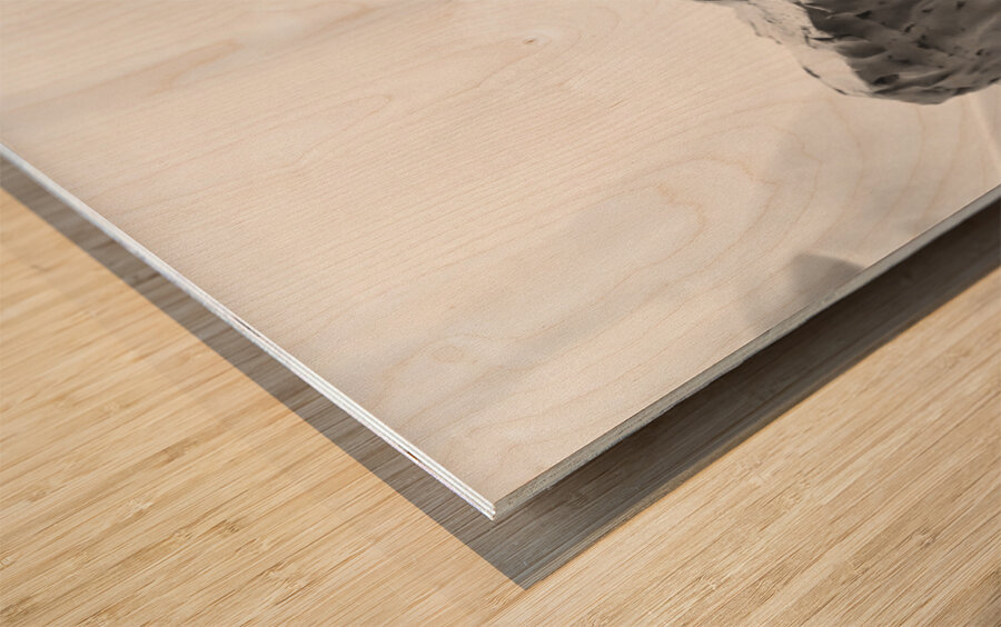 Quiet Mood --- image Wood print