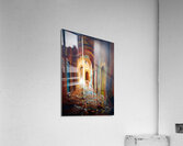 Flasque Acrylic Print
