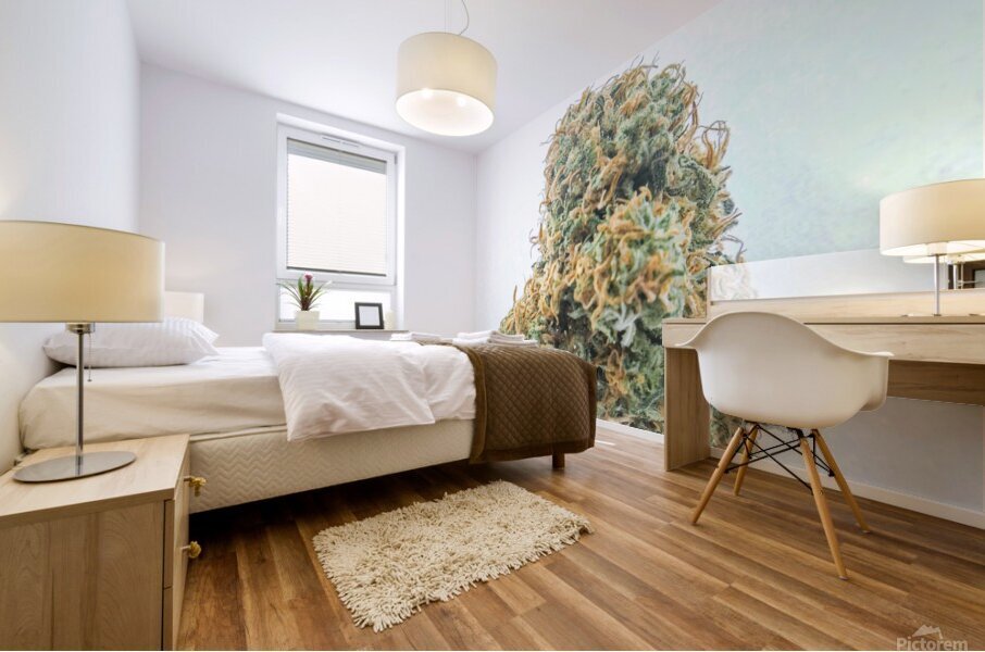 Flower rasta Mural print