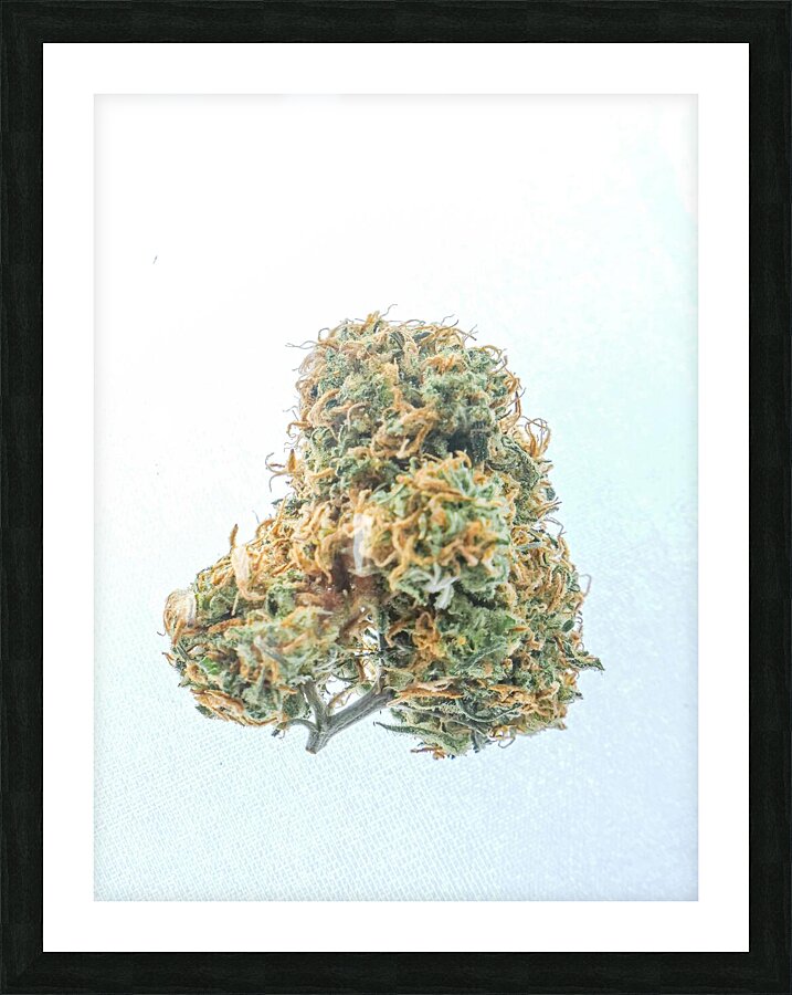 Flower rasta Picture Frame print