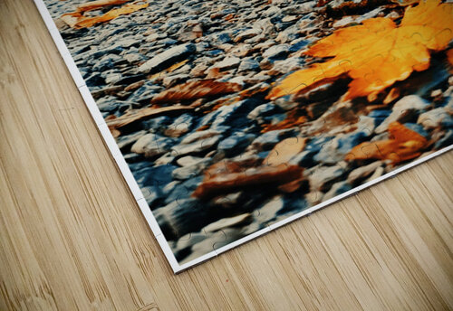 Forest Path Pacoraman puzzle