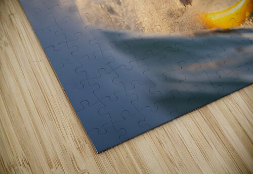 Dog surfing Pacoraman puzzle