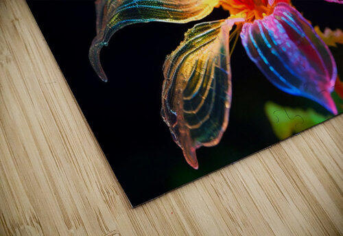 Tulipan Pacoraman puzzle