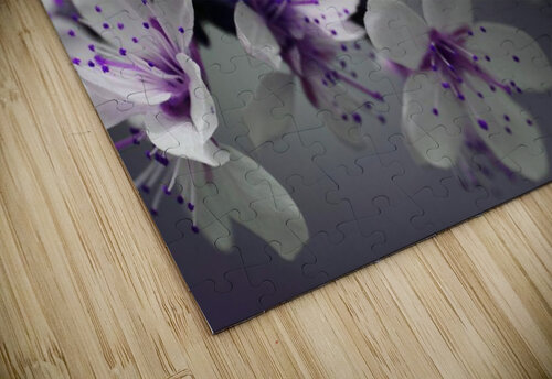 Pink Petals Pacoraman puzzle