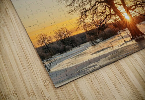 suntree Pacoraman puzzle