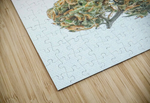 Flower rasta Pacoraman puzzle