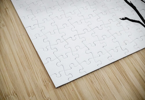 Tree twins Pacoraman puzzle