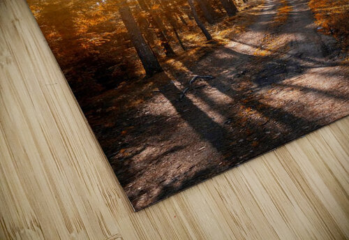 Forest scent Pacoraman puzzle