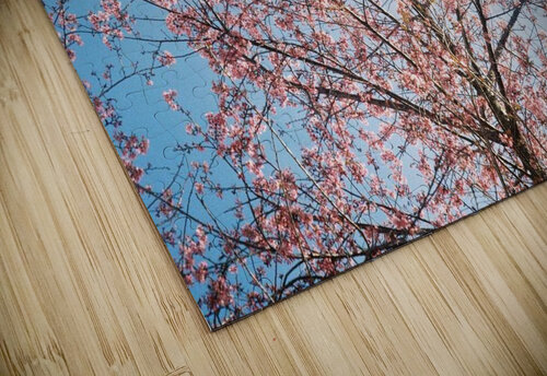 Blossom Pacoraman puzzle
