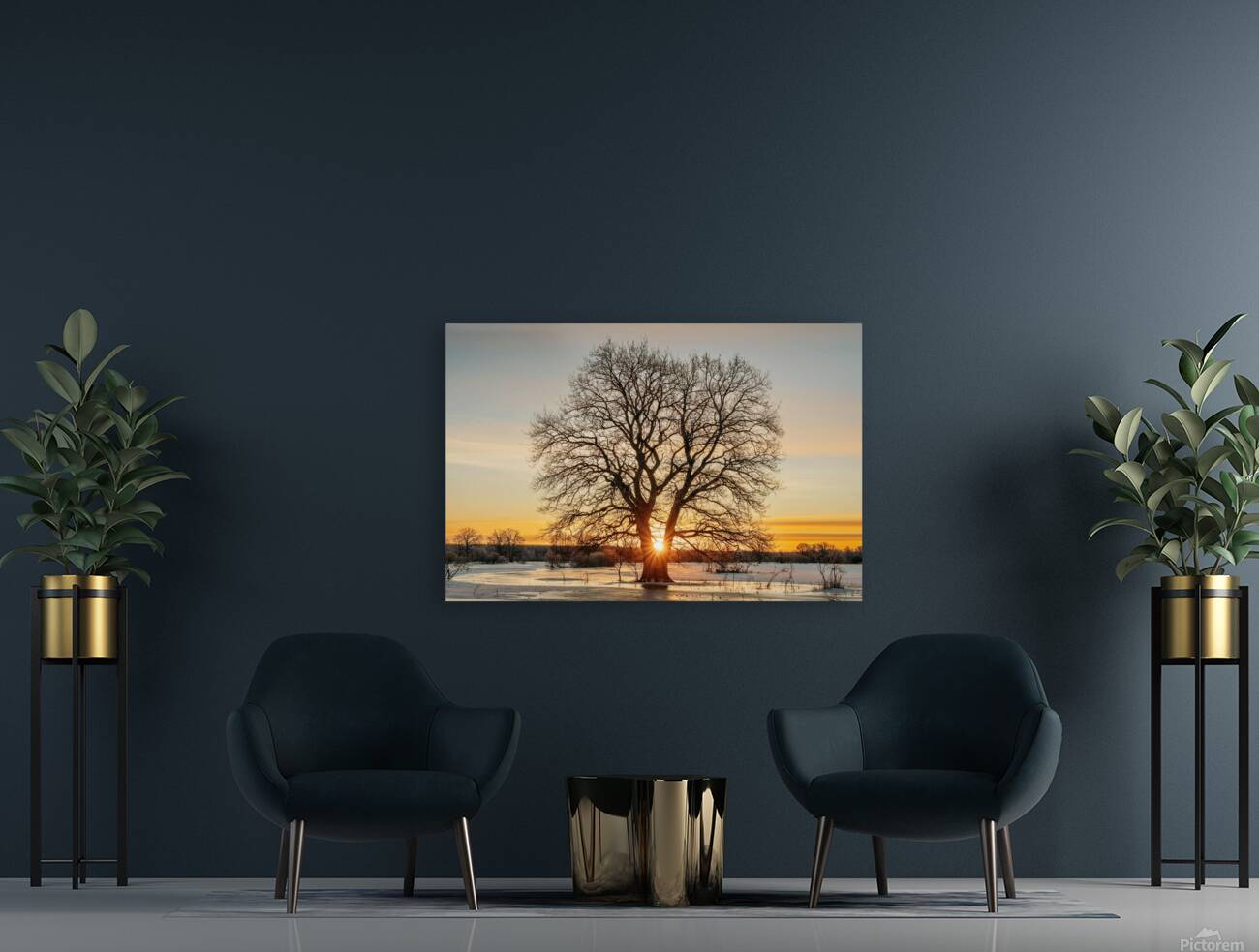 suntree Reproduction