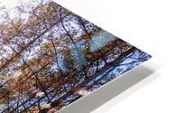 Forest scent HD Metal print