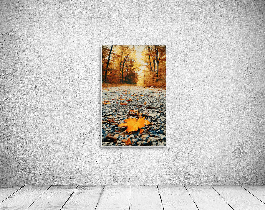 Forest Path Wall Preview